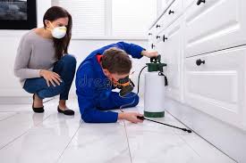 Best Residential Pest Control  in Washington Park, IL